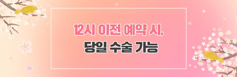 12시이전 예약시 당일수술가능